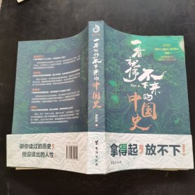 一看就停不下来的中国史