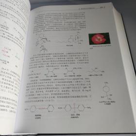 国外名校名著--有机化学：结构与功能