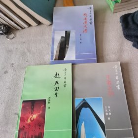 黄金十年丛书