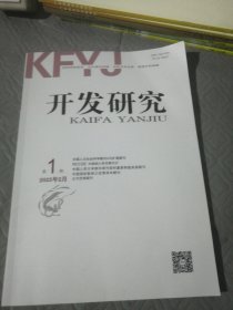 开发研究 2025年第1期 总第236期
