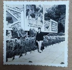 约60年代 黑白老照片一张 一女子在菊花盆栽前留影，背景有特色宣传大海报和毛主席语录