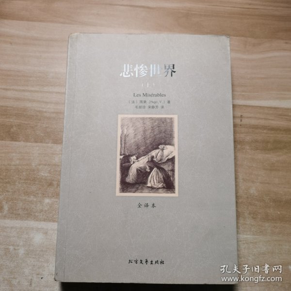 世界文学名著:悲惨世界(全译本)(套装共2册)