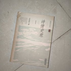 诗情史意