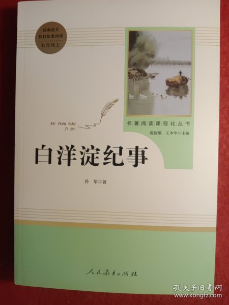 白洋淀纪事 名著阅读课程化丛书（统编语文教材配套阅读）七年级上