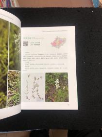 黑嘴松鸡国家级自然保护区维管植物图谱（第一分册）