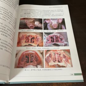 猪病类症鉴别与防控原色图谱