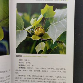 药用植物花谱 1-4册 全四册 4本合售