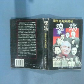 魂殇 国民党失势揭秘