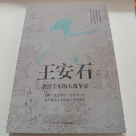 王安石：毁誉千年的大改革家