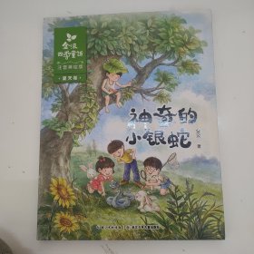 金波四季童话 夏天卷·神奇的小银蛇（注音美绘版）
