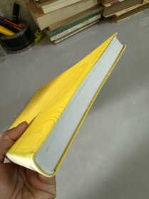 转型中的地方政府：官员激励与治理