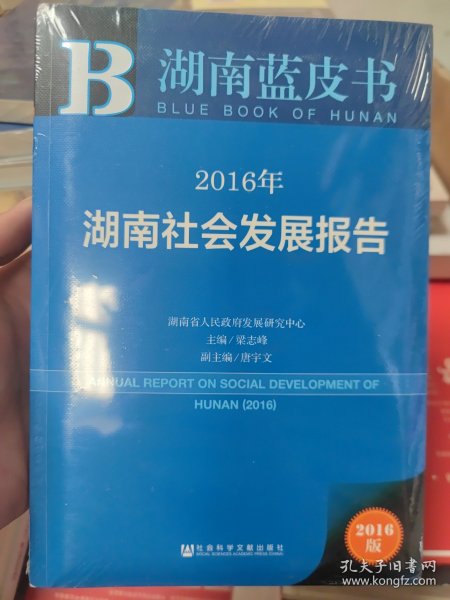 2016年湖南社会发展报告