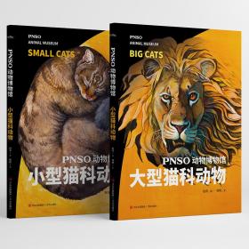 pnso动物博物馆：大型+猫科动物 少儿科普 赵闯（绘）杨杨（文） 新华正版