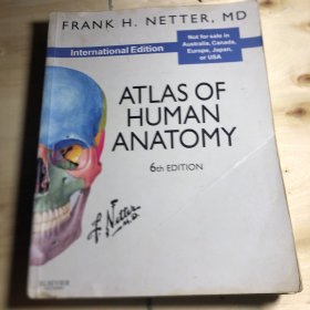 Atlas of Human Anatomy, International Edition人体解剖学图谱，国际版，第六版 英文原版