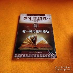 大型青少年励志丛书：有一种力量叫感动（少年羊皮卷）