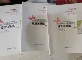 2023年会计专业技术资格应试指导及全真模拟测试 经济法基础(全3册)