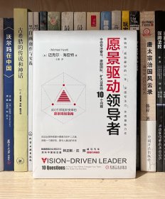 愿景驱动领导者：令你专注奋斗 激励团队 扩大业务的10个问题（全新塑封）