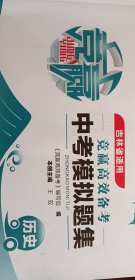 竟赢高效备考 历史 中考模拟集