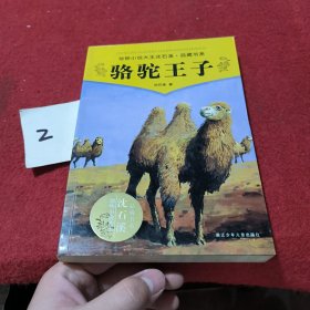 骆驼王子