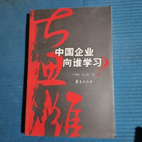 大思维：中国企业向谁学习