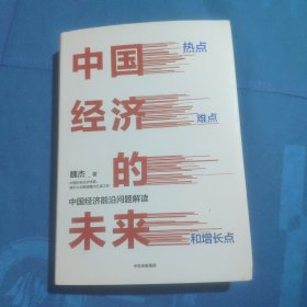 中国经济的未来：热点、难点和增长点