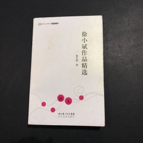 徐小斌作品精选：跨世纪文丛精华本