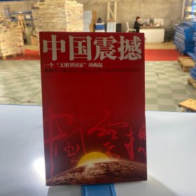 中国震撼：一个“文明型国家”的崛起