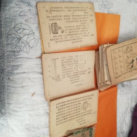 高小自然课本第一册从第三页开始，第三册、第四册三本合拍，原版实拍图，详见图片