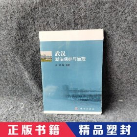 武汉湖泊保护与治理