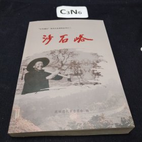 沙石峪