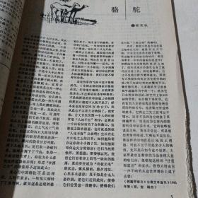 读者文摘（1987,1-6合订本）