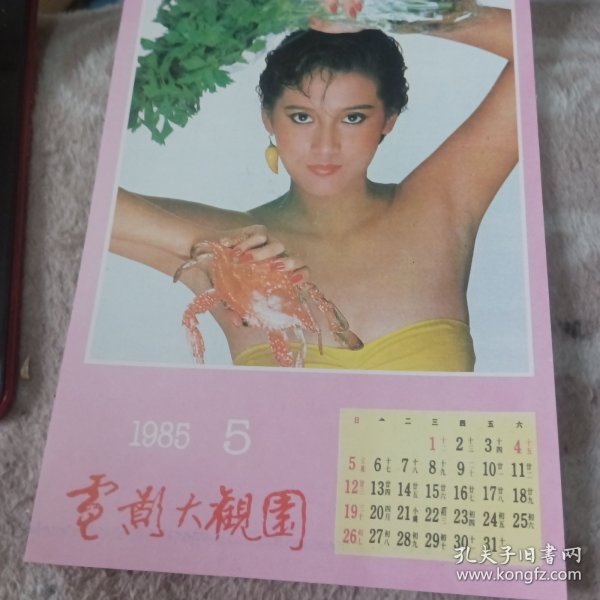 1985年5月份月历，港星陆仪凤