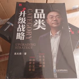 品类升级战略
