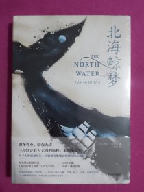 北海鲸梦