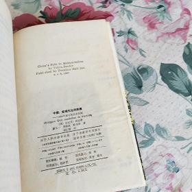 中国:前现代化的阵痛