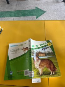 王者拉德