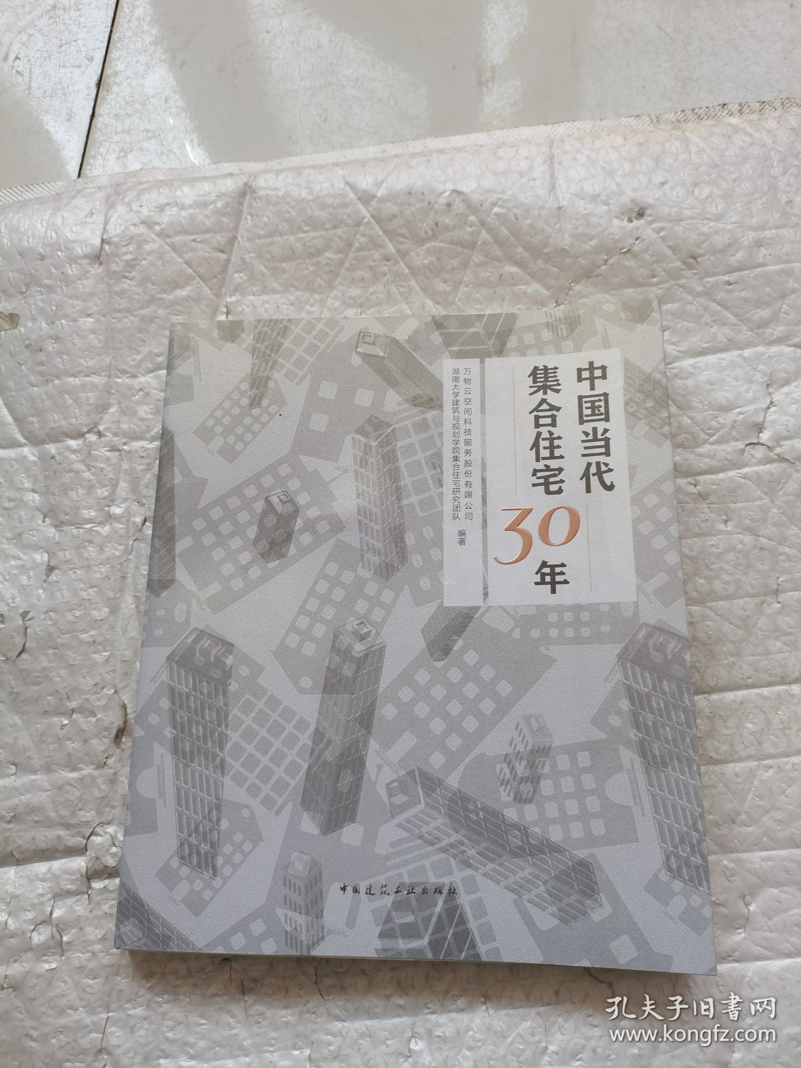 中国当代集合住宅30年 中国建筑工业出版社 正版