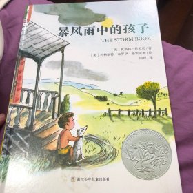 暴风雨中的孩子：美国凯迪克银奖作品