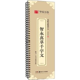 华夏万卷字帖近距离临摹字卡智永真草千字文字帖成人初学者草书钢笔硬笔毛笔临摹书法字帖