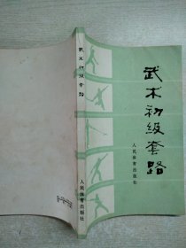 武术初级套路 人民体育出版社