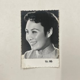 黑白照片 白杨