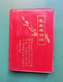 毛主席诗词（註释）