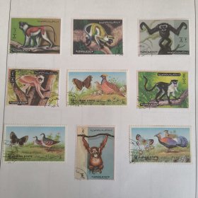 S303阿治曼70年代 动物题材 猴子 鸟 外国邮票 盖销9枚 背贴