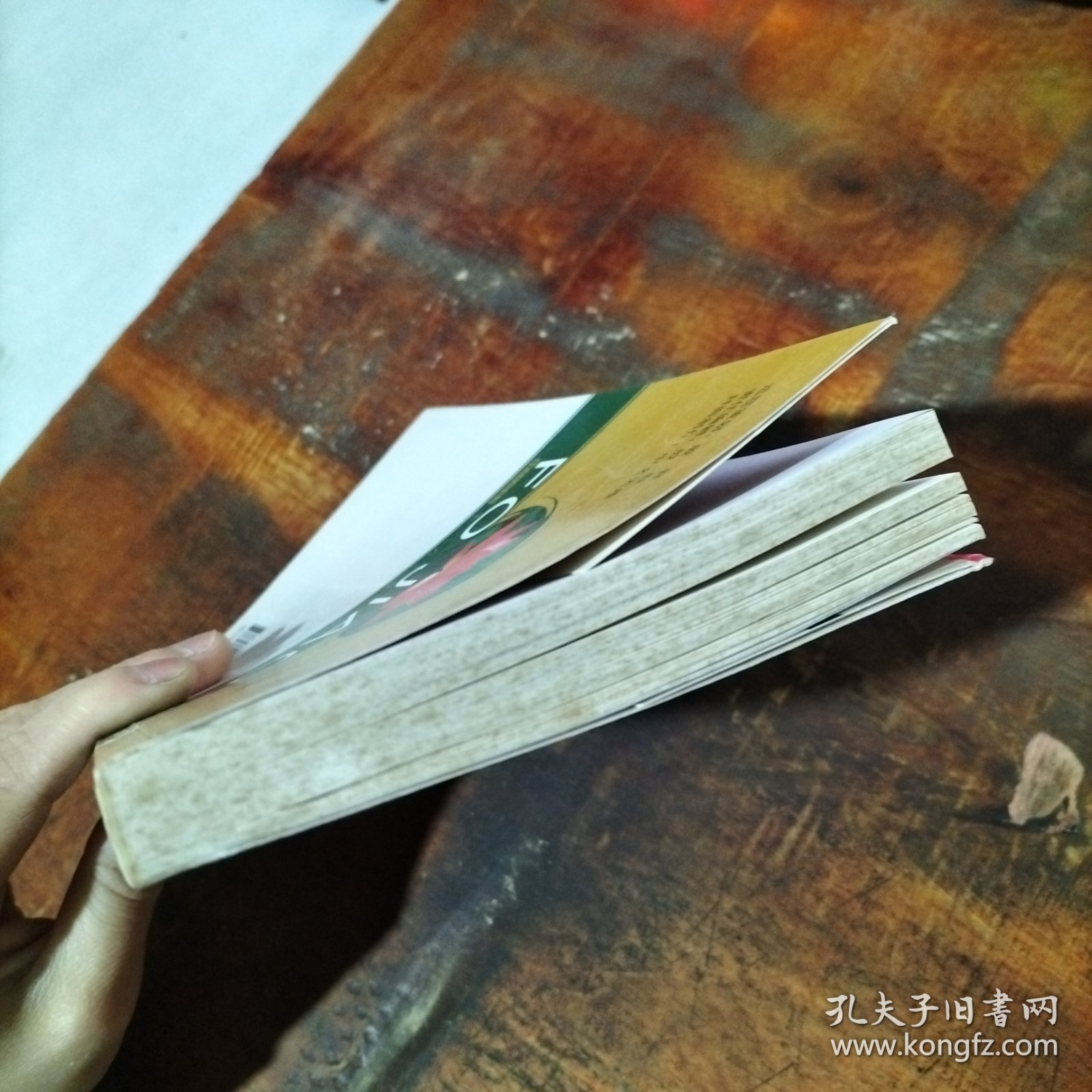 中国导游十万个为什么：佛教 .