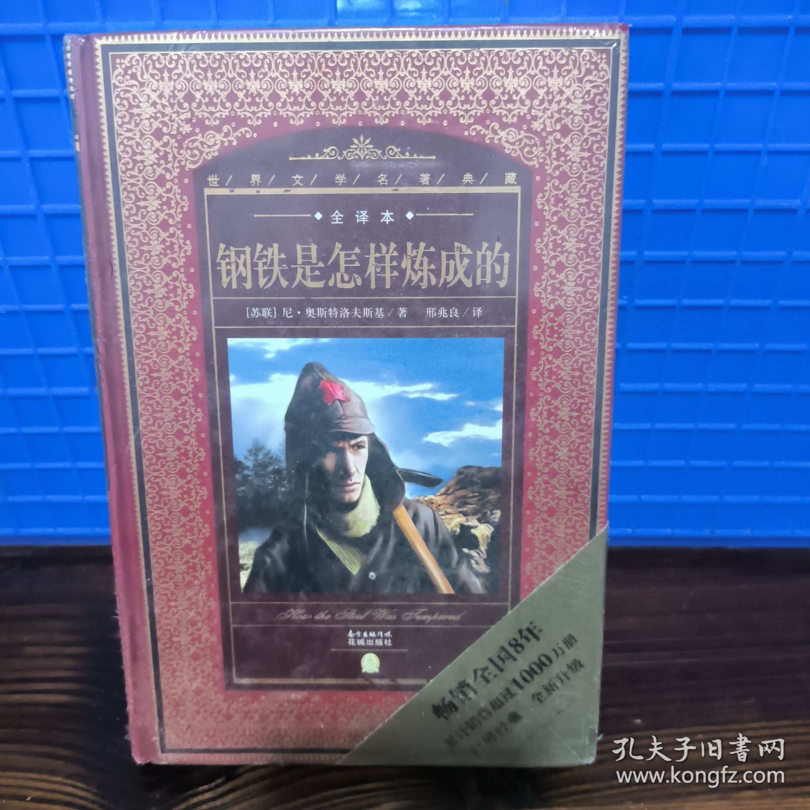 世界文学名著典藏·全译本：钢铁是怎样炼成的（新版）