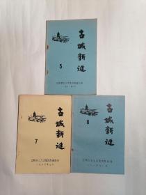 古城新谜•5、7、8期,(三册合售)