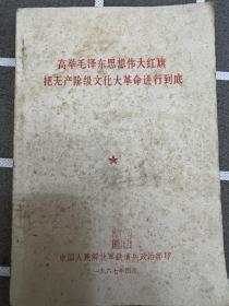 高举毛泽东思想伟大红旗、把无产阶级*****进行到底