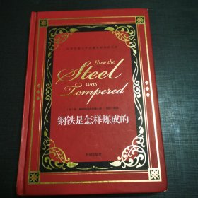 (NNJ)《钢铁是怎样炼成的》
