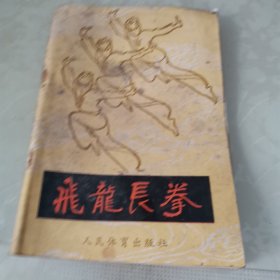 飞龙长拳