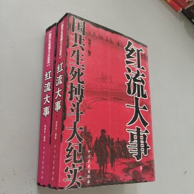 红流大事：国共生死搏斗大纪实（上下）